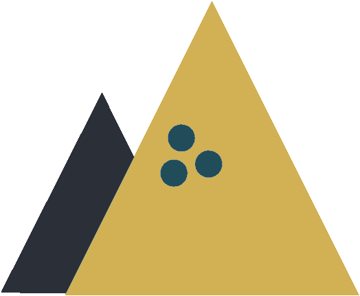 Chahalem Hill Vineyard